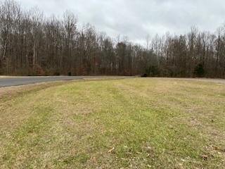 0 Ross Road Cedar Hill TN 37032