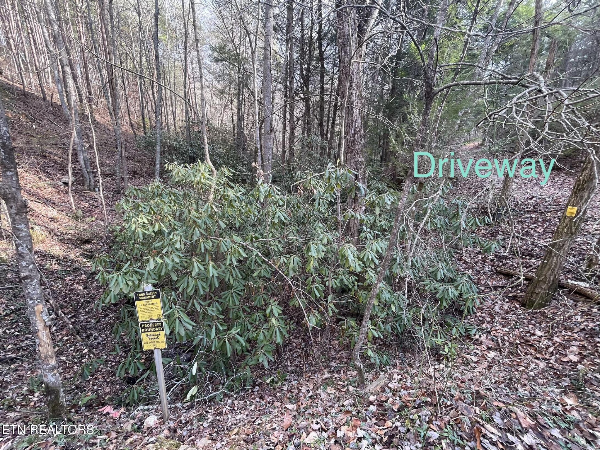 2500 Joe Brown Highway Tellico Plains TN 37385