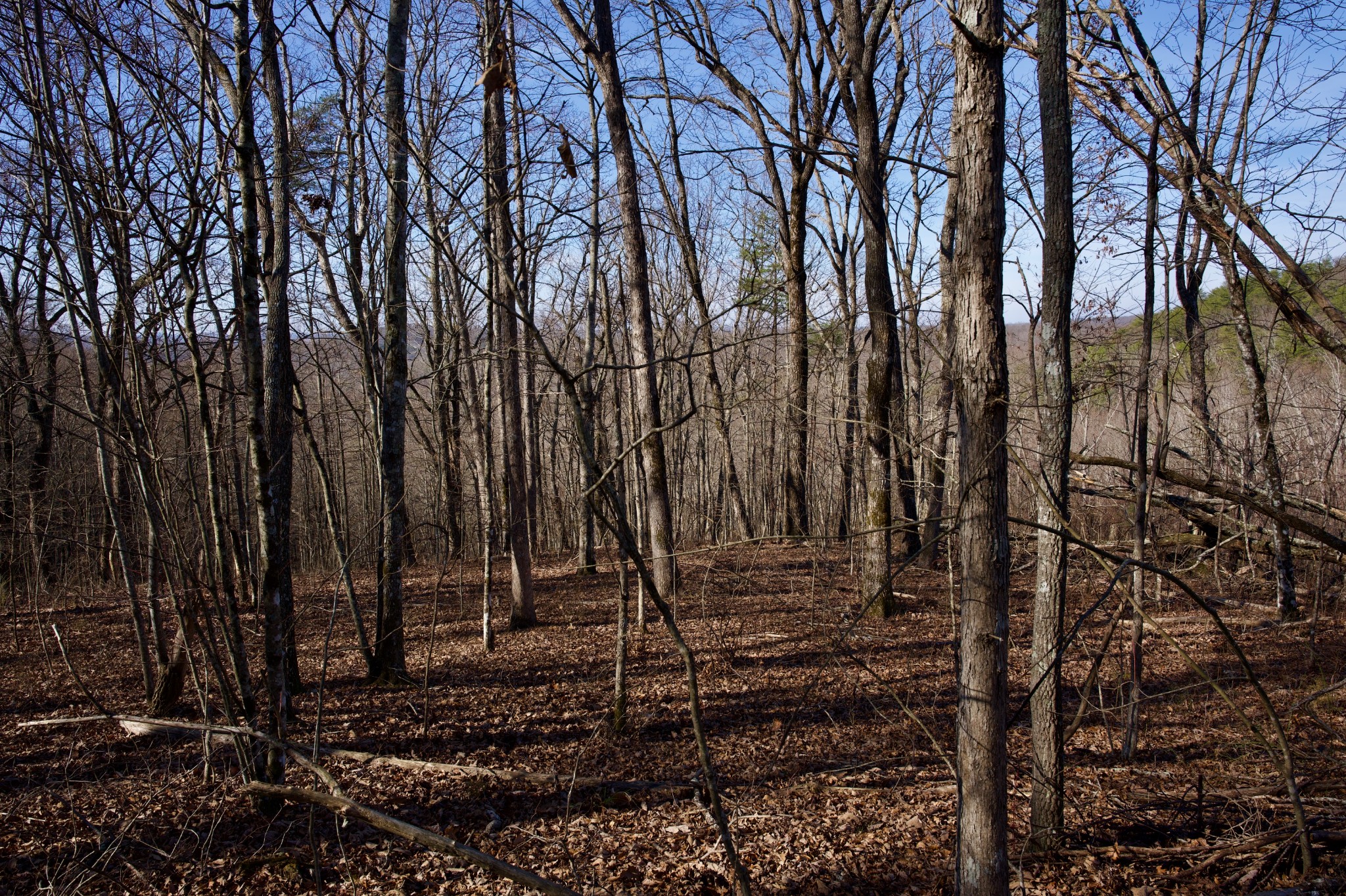 100A Valley View Road Pikeville TN 37367