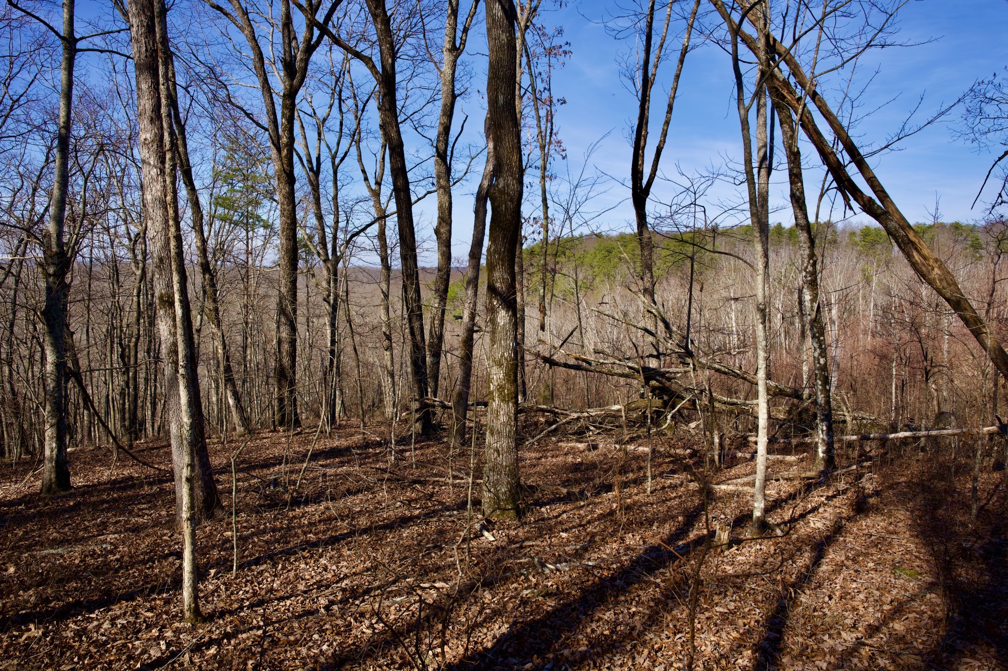 100A Valley View Road Pikeville TN 37367