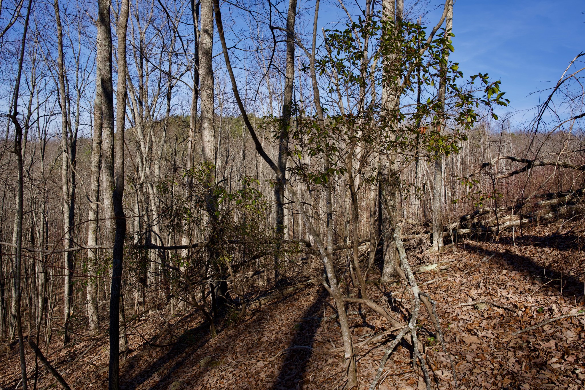 100A Valley View Road Pikeville TN 37367