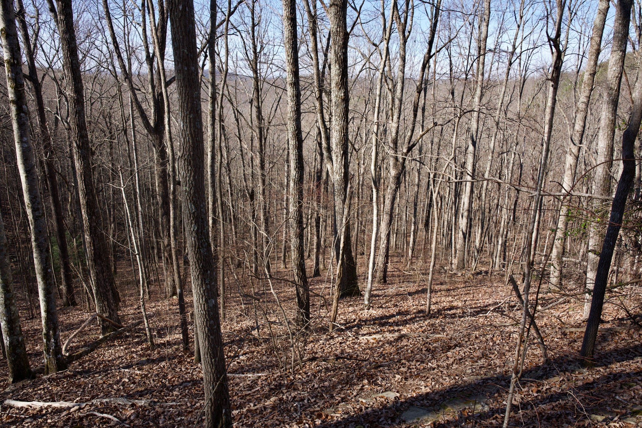 100A Valley View Road Pikeville TN 37367