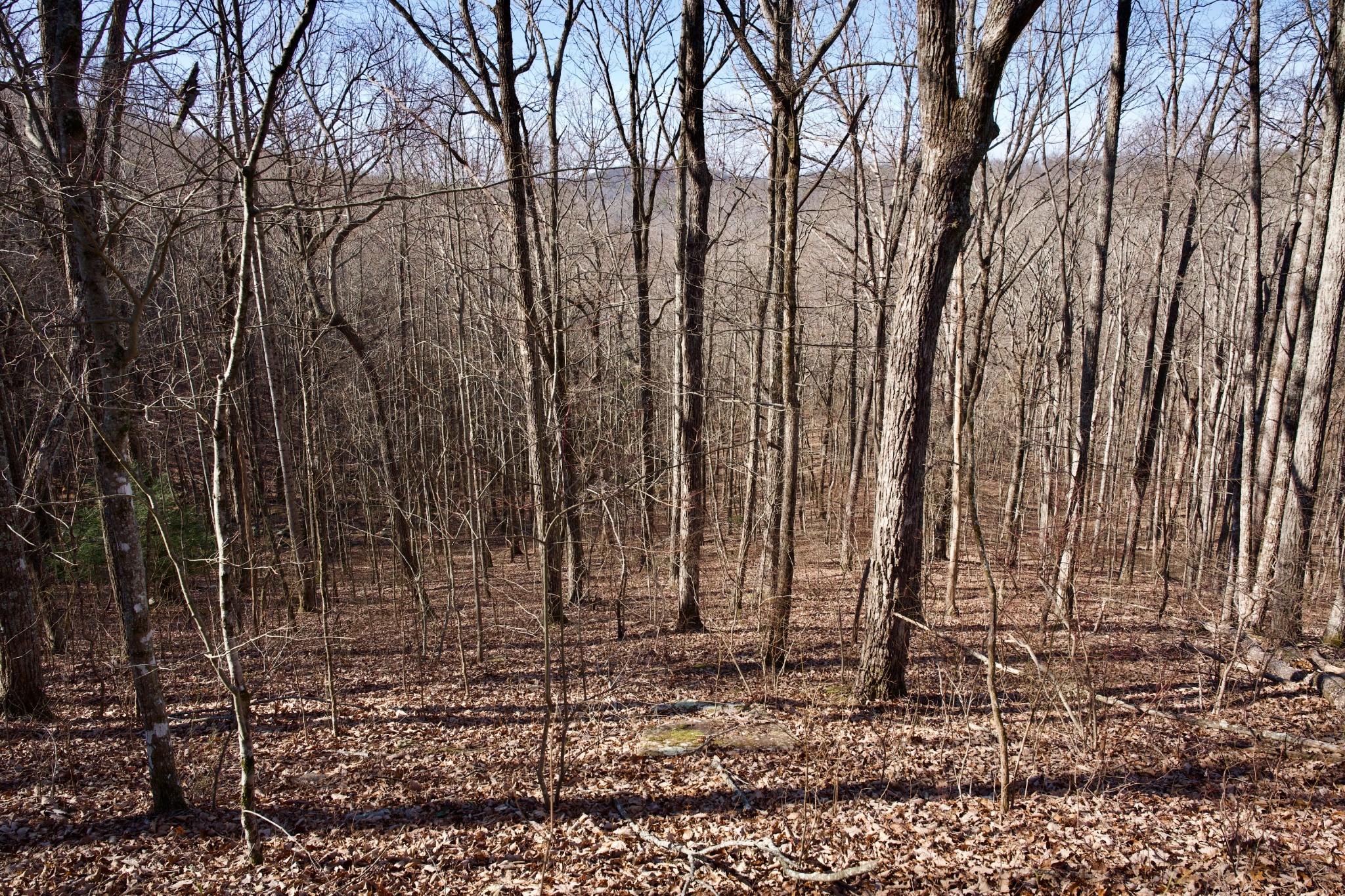 100A Valley View Road Pikeville TN 37367