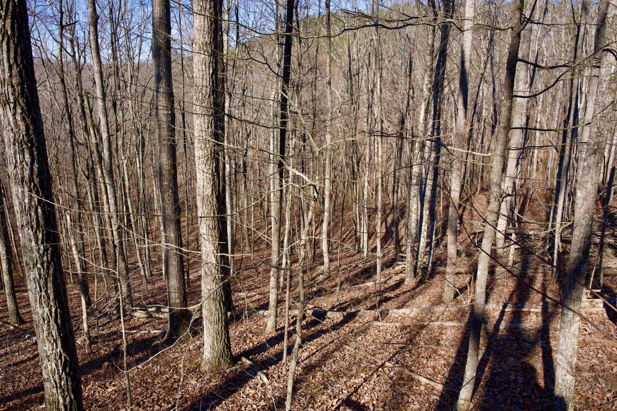 100A Valley View Road Pikeville TN 37367