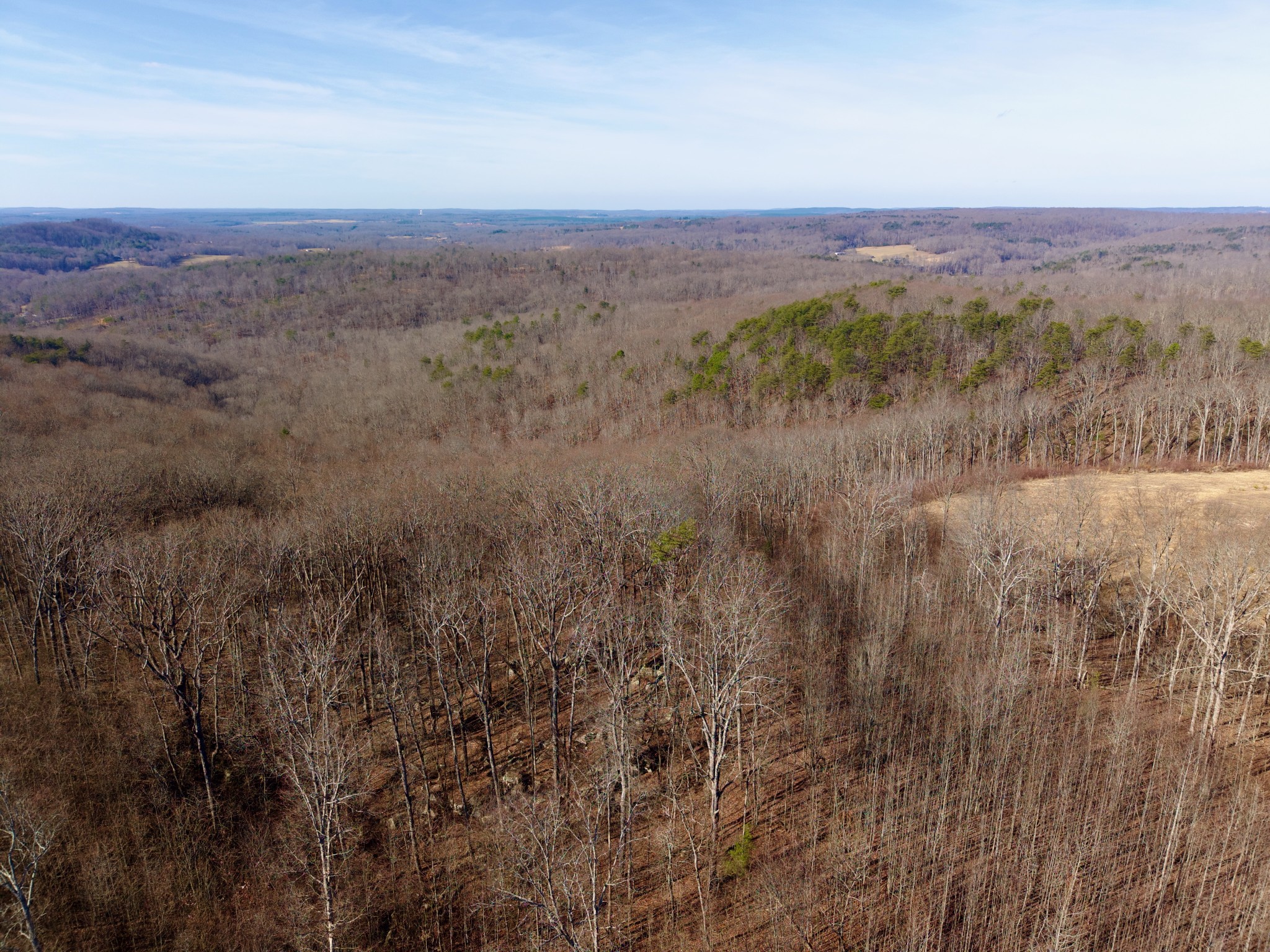 100A Valley View Road Pikeville TN 37367