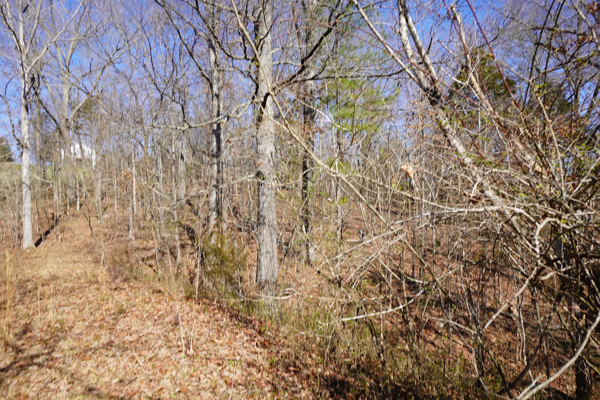 0 Donelson Parkway Dover TN 37058