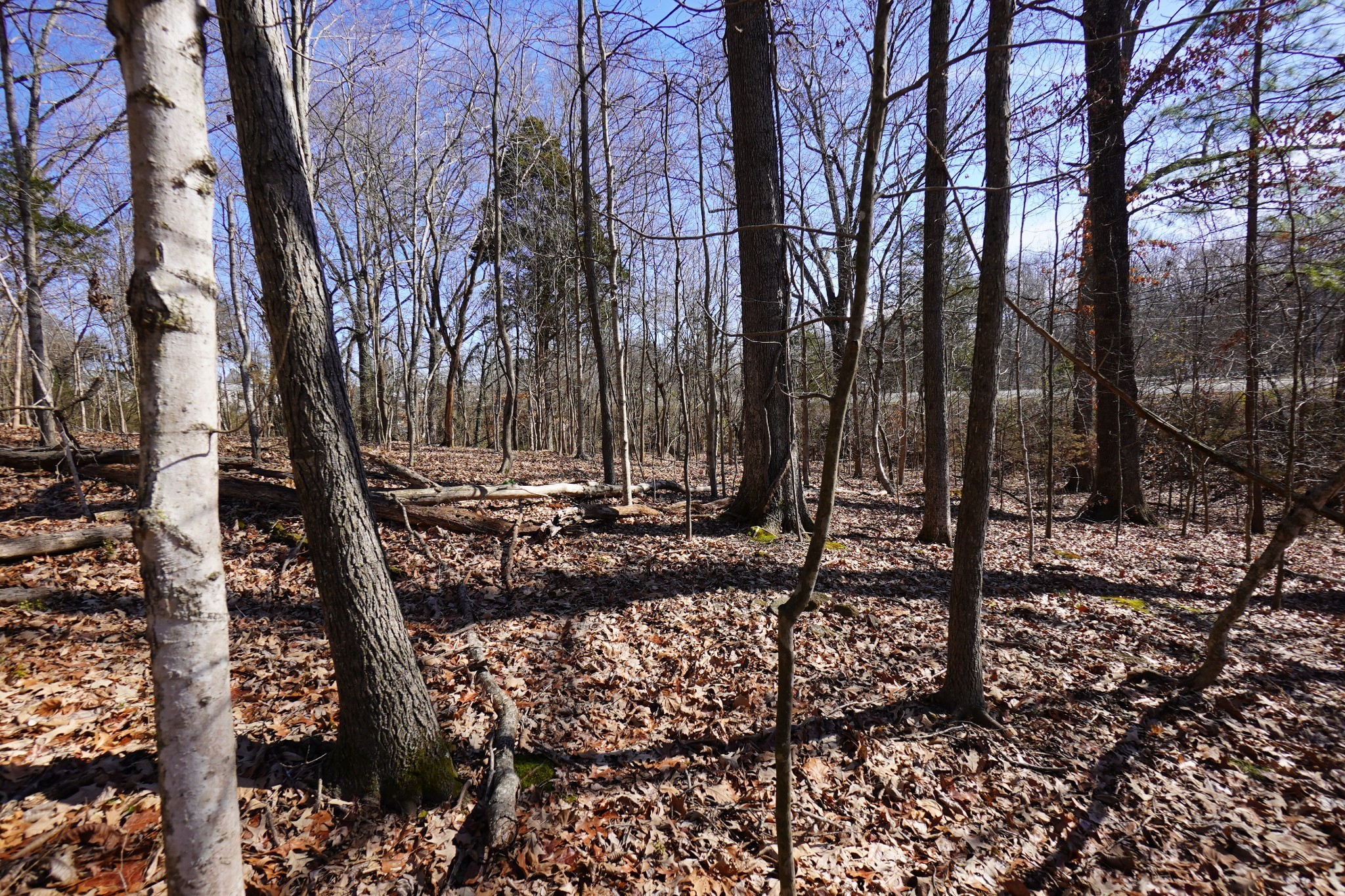 0 Donelson Parkway Dover TN 37058
