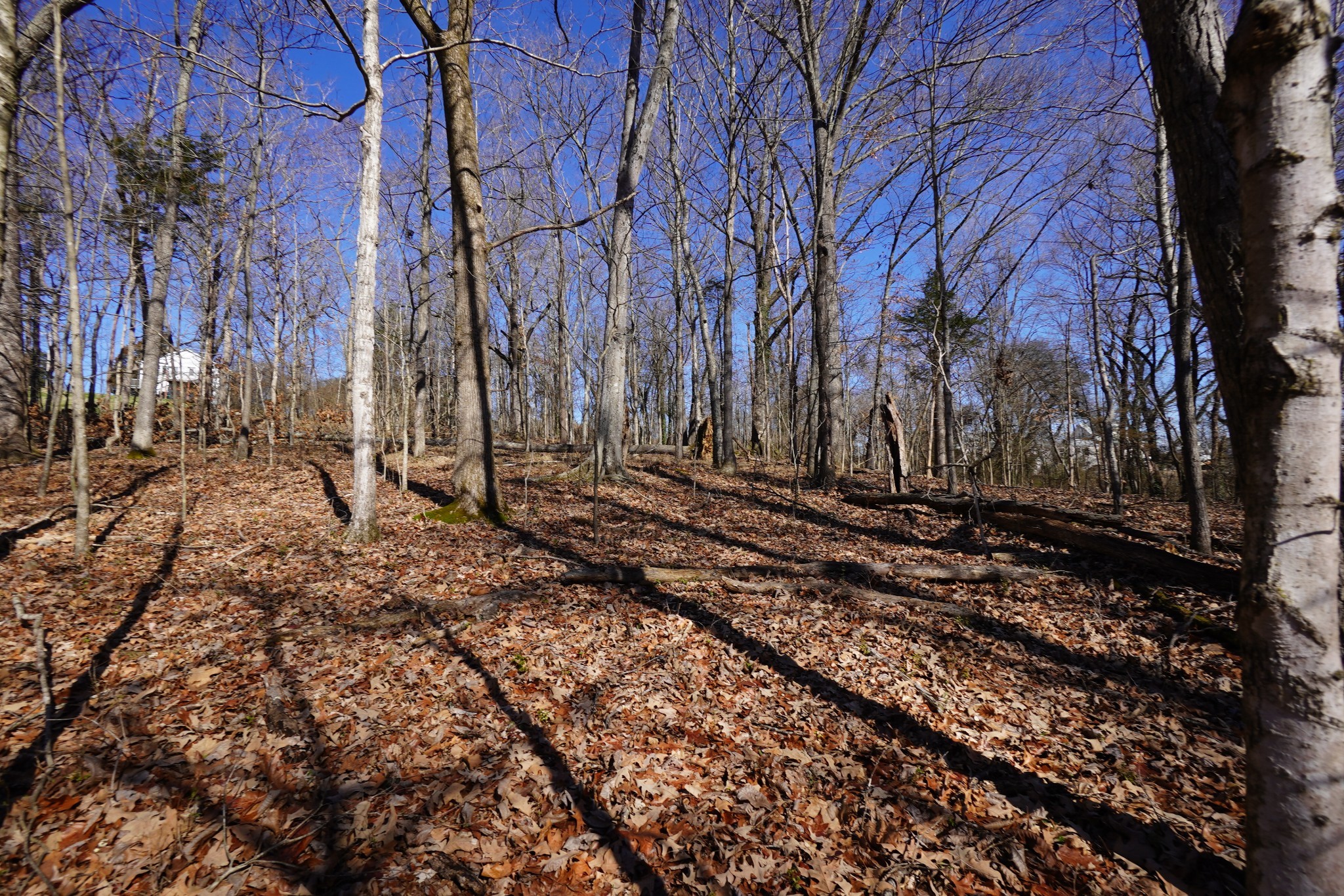 0 Donelson Parkway Dover TN 37058