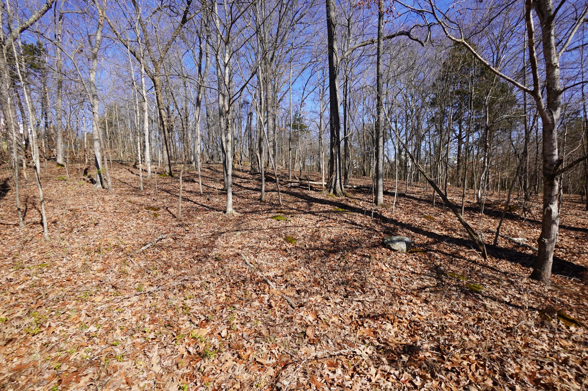 0 Donelson Parkway Dover TN 37058
