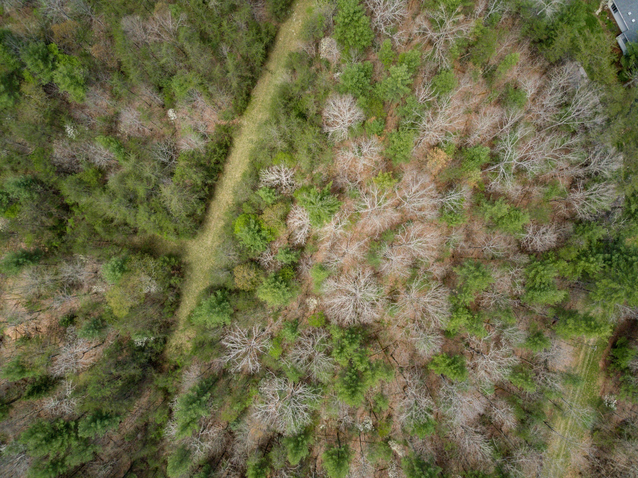 17 Menteith Lane Crossville TN 38558