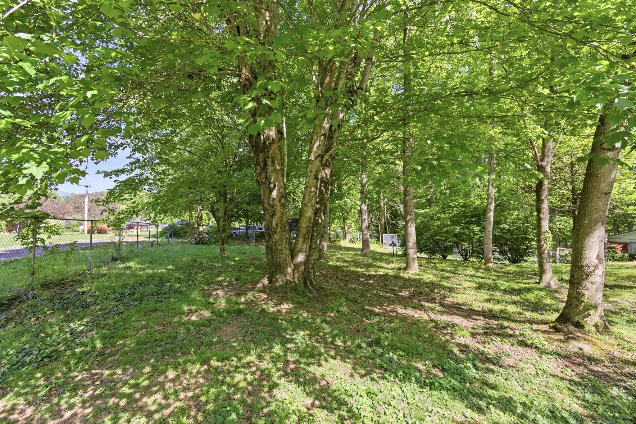 135 Peach Tree Circle Wartburg TN 37887