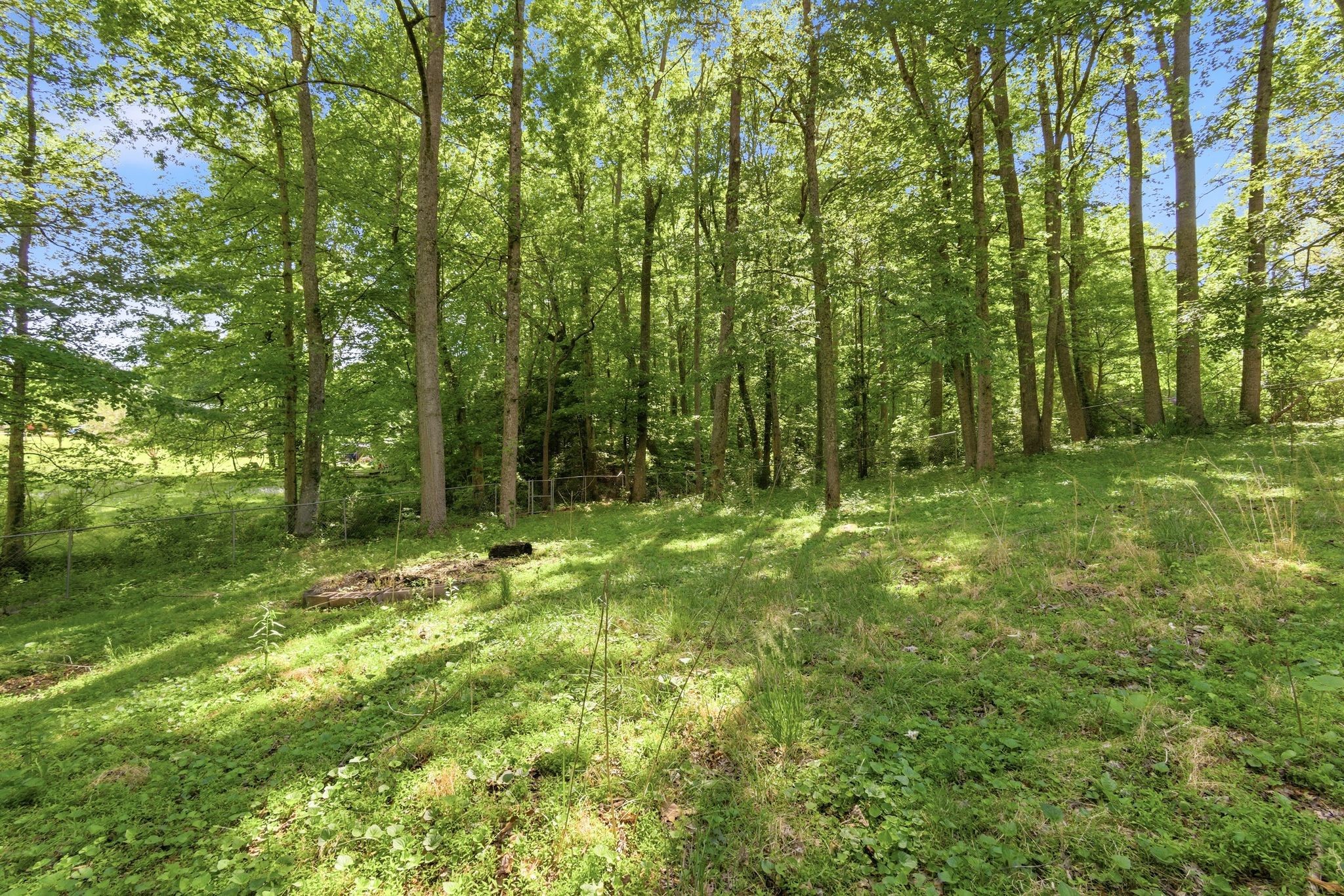 135 Peach Tree Circle Wartburg TN 37887