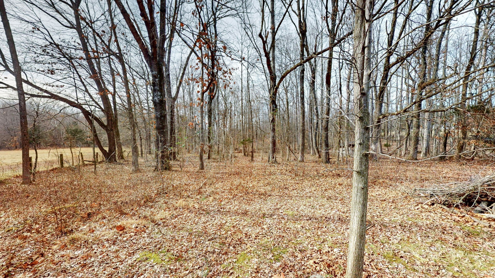 745 Halltown Road Portland TN 37148