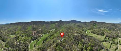 4388 Carolina Cove Way Sevierville TN 37863