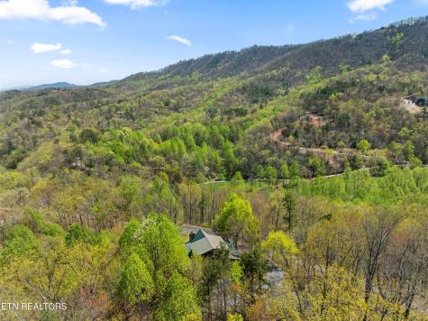 4388 Carolina Cove Way Sevierville TN 37863
