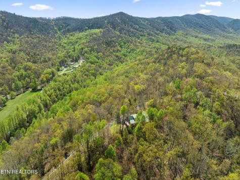 4388 Carolina Cove Way Sevierville TN 37863