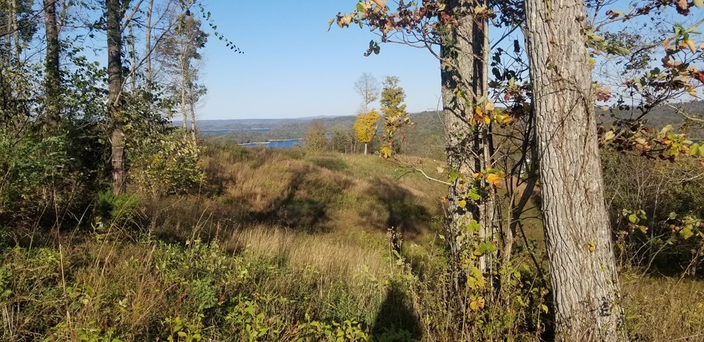 0 Swan Ridge Road Hilham TN 38568