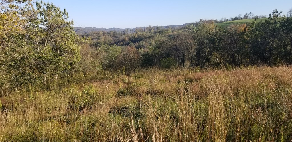 0 Swan Ridge Road Hilham TN 38568