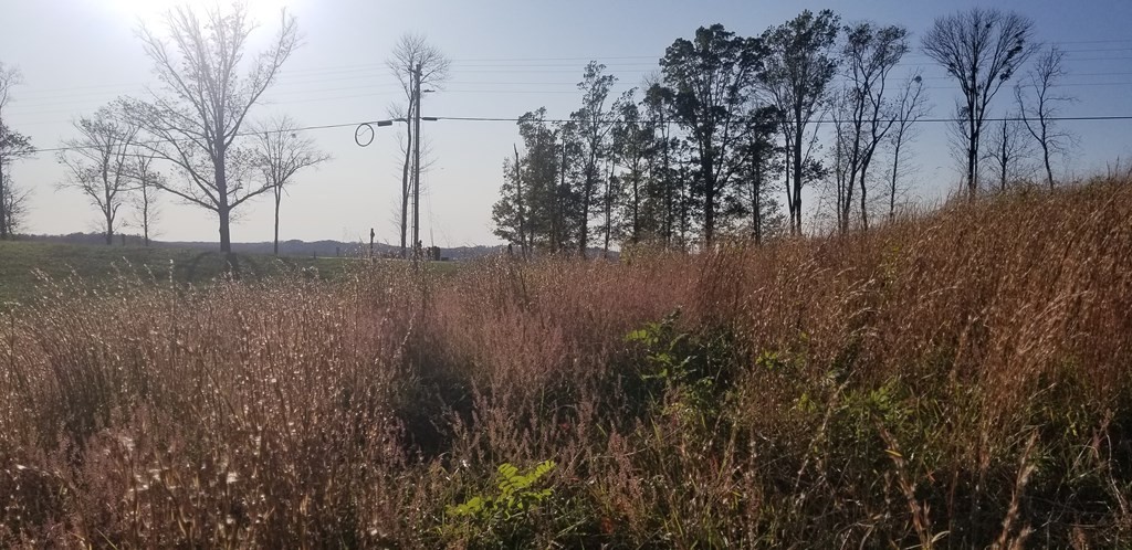 0 Swan Ridge Road Hilham TN 38568