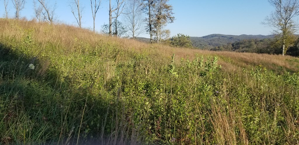 0 Swan Ridge Road Hilham TN 38568
