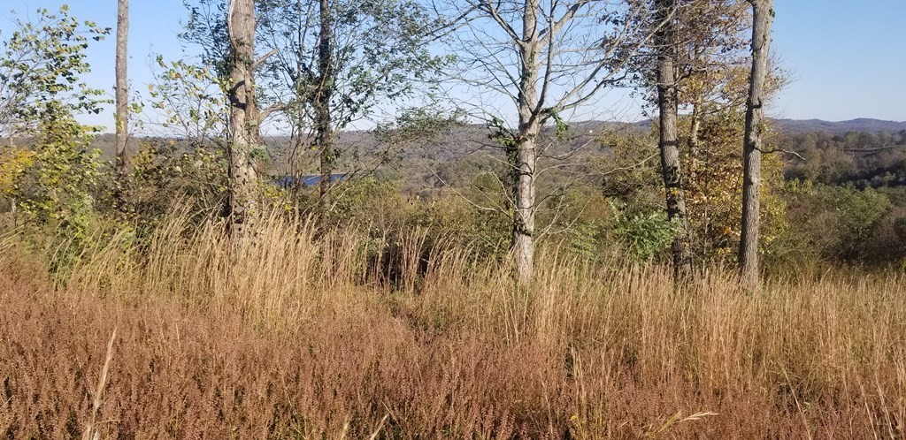 0 Swan Ridge Road Hilham TN 38568