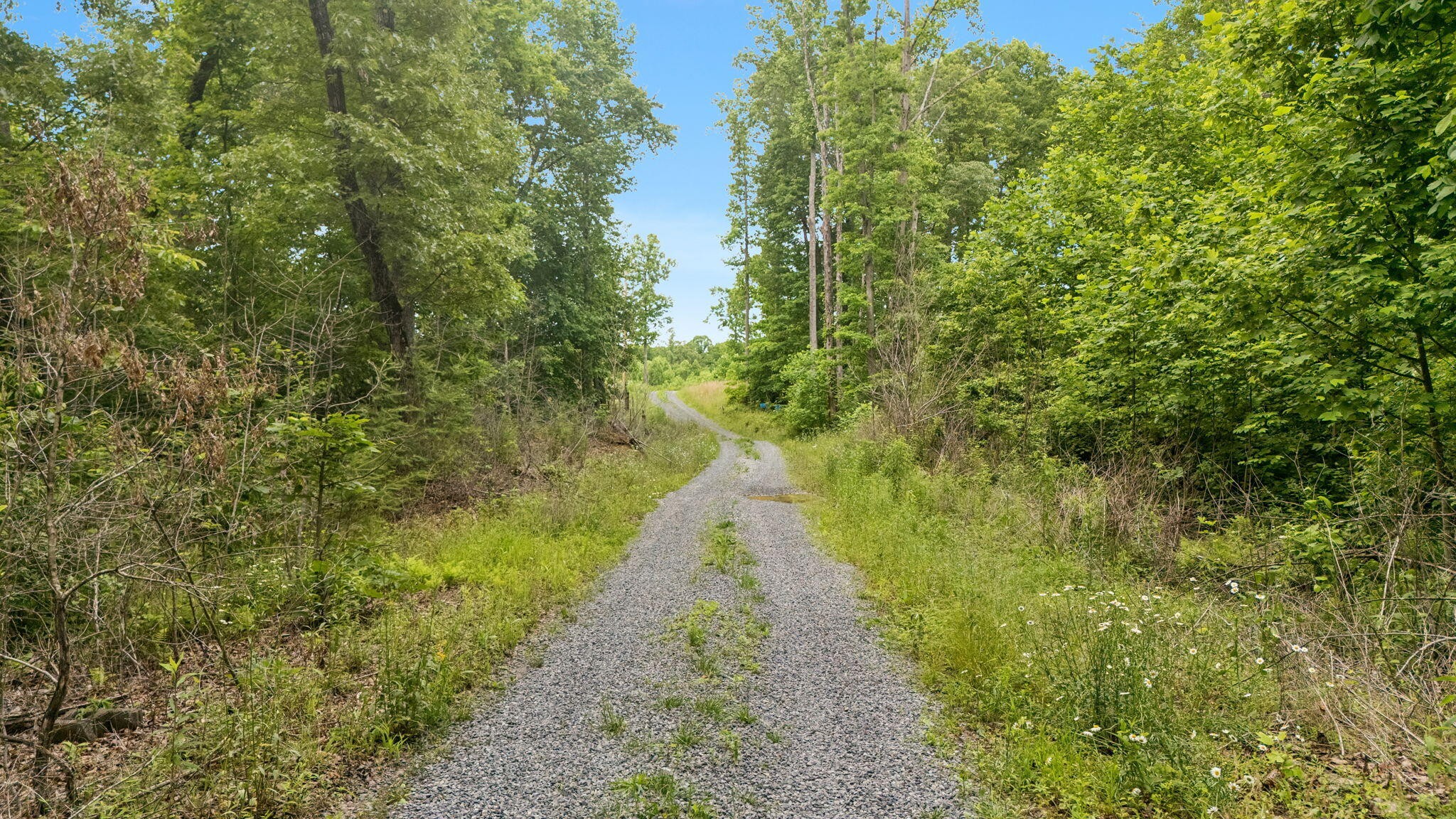 11 Laurel Brook Road Dunlap TN 37327