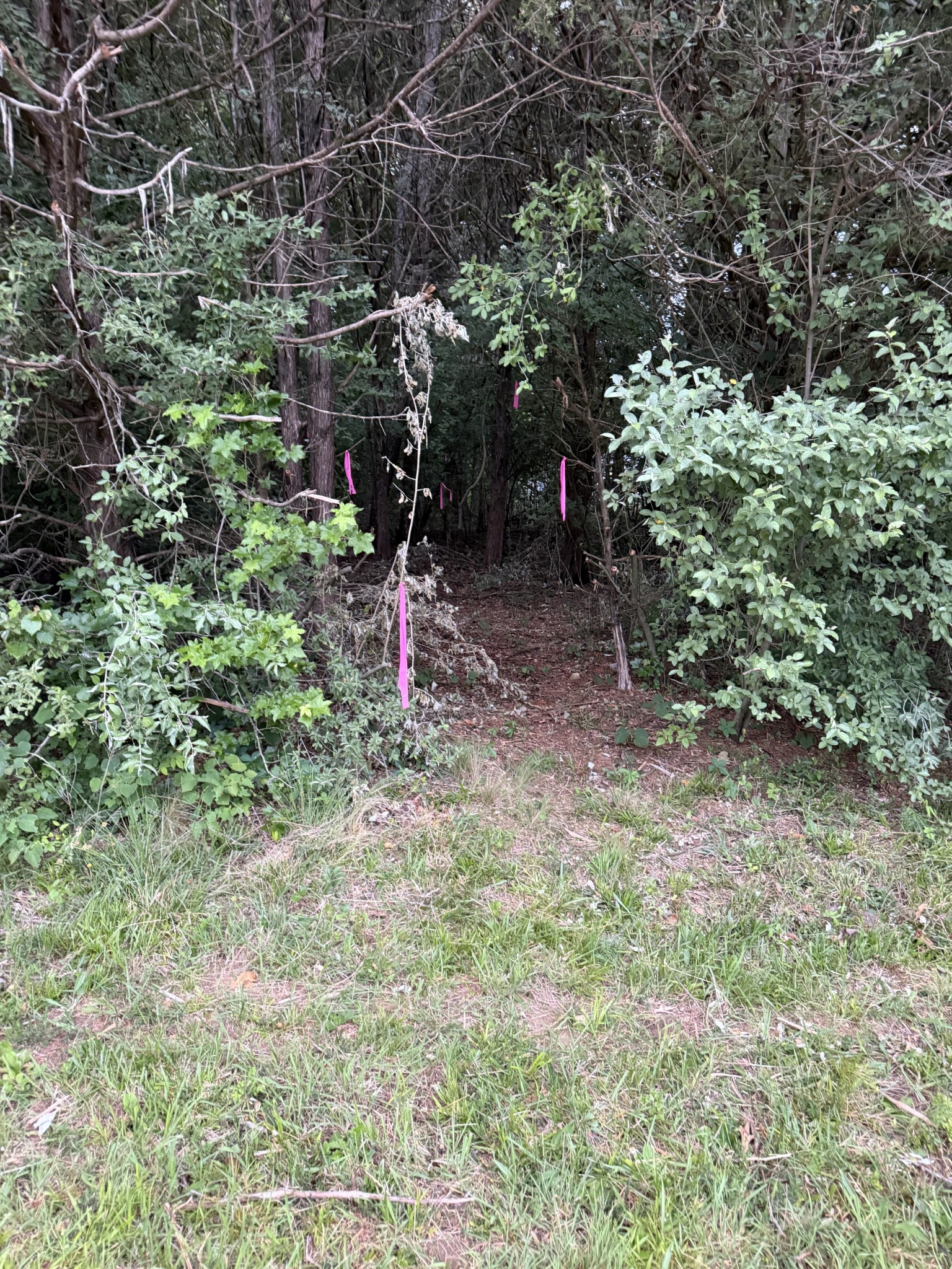 0 Dry Creek Lane Winchester TN 37398