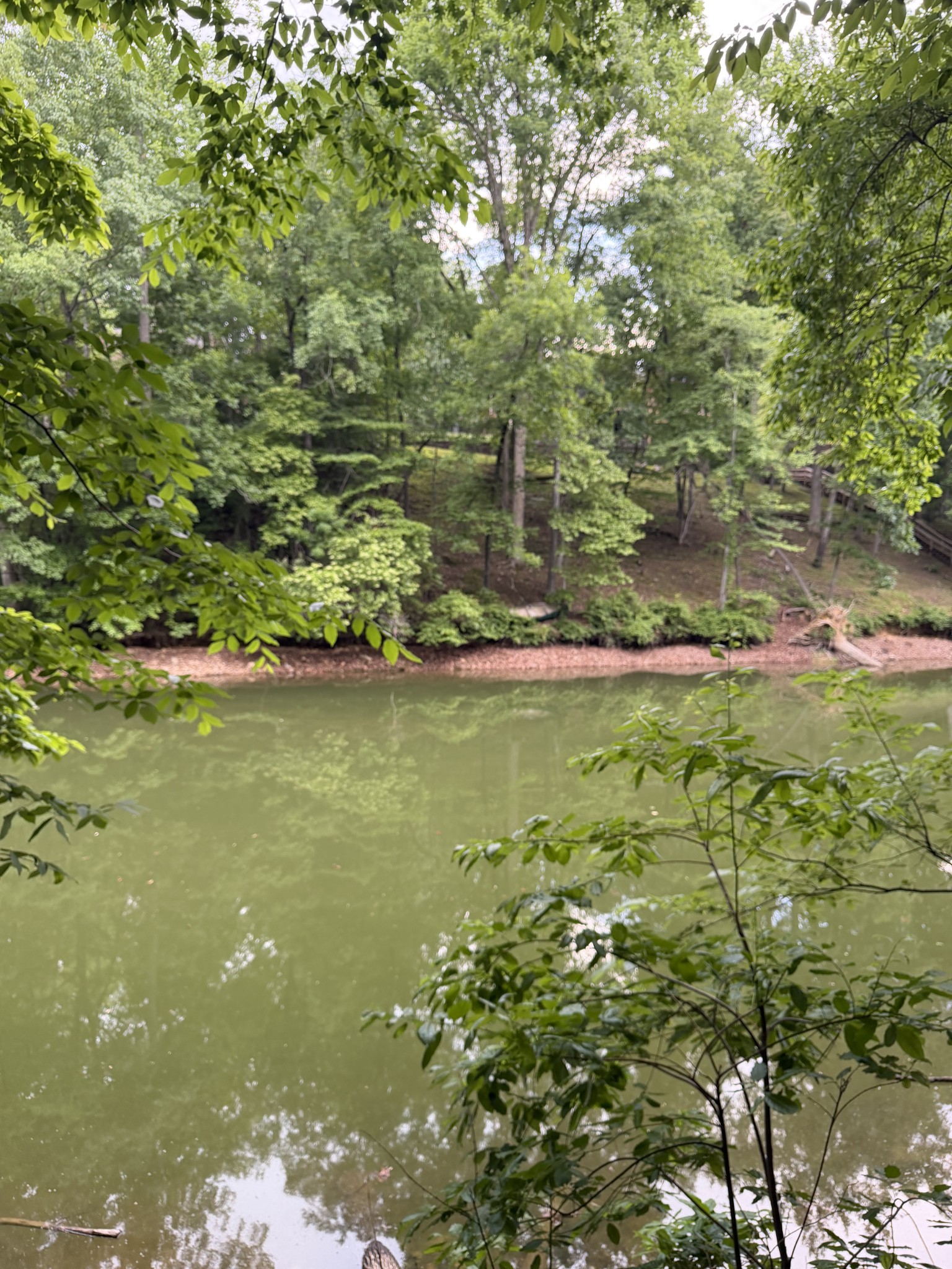 0 Dry Creek Lane Winchester TN 37398