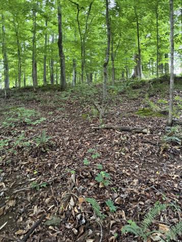 0 Dry Creek Lane Winchester TN 37398