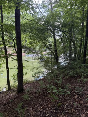 0 Dry Creek Lane Winchester TN 37398