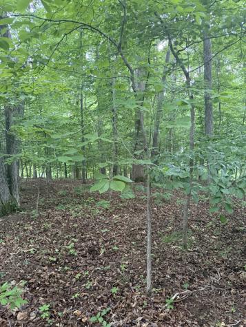 0 Dry Creek Lane Winchester TN 37398