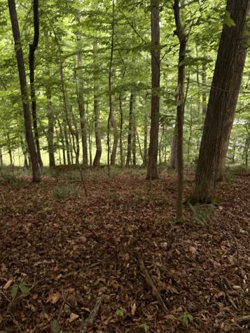 0 Dry Creek Lane Winchester TN 37398