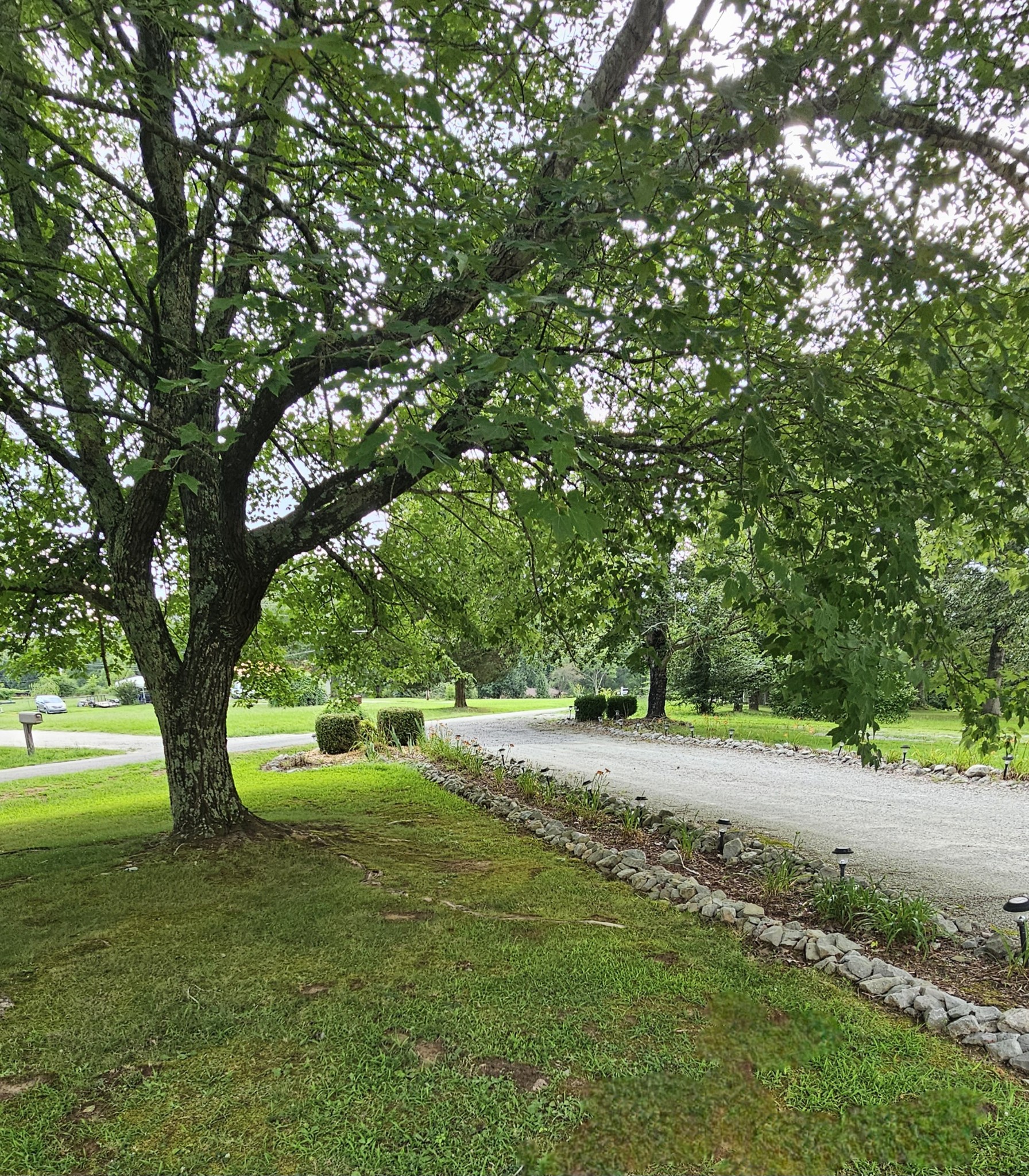 1797 Link Road New Johnsonville TN 37134