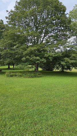 1797 Link Road New Johnsonville TN 37134