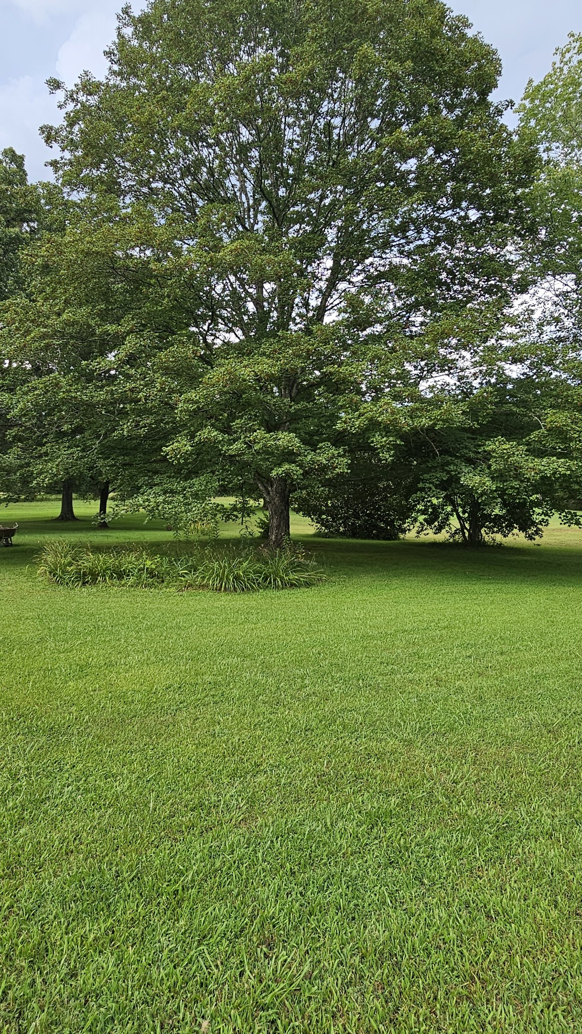 1797 Link Road New Johnsonville TN 37134
