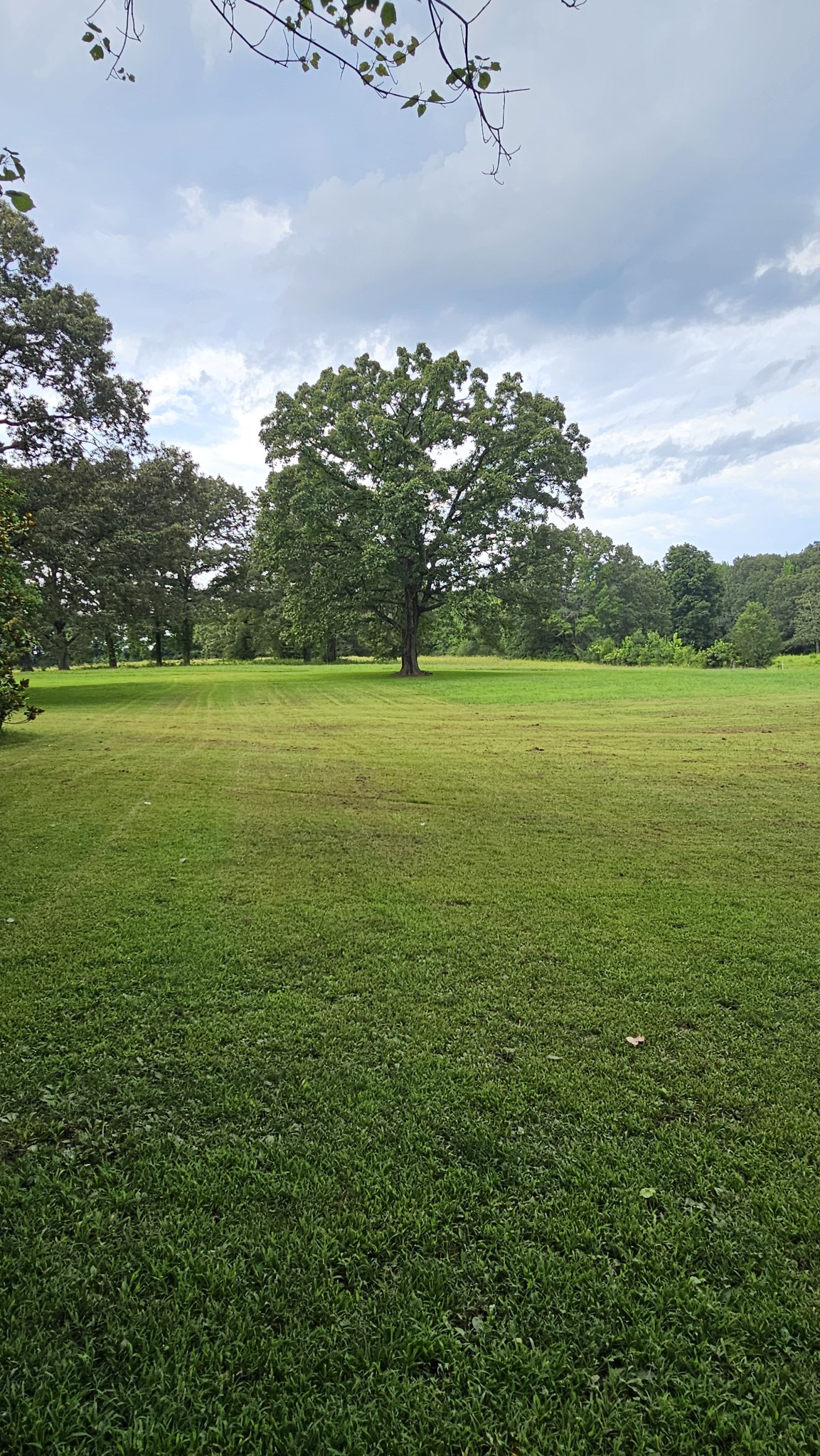 1797 Link Road New Johnsonville TN 37134