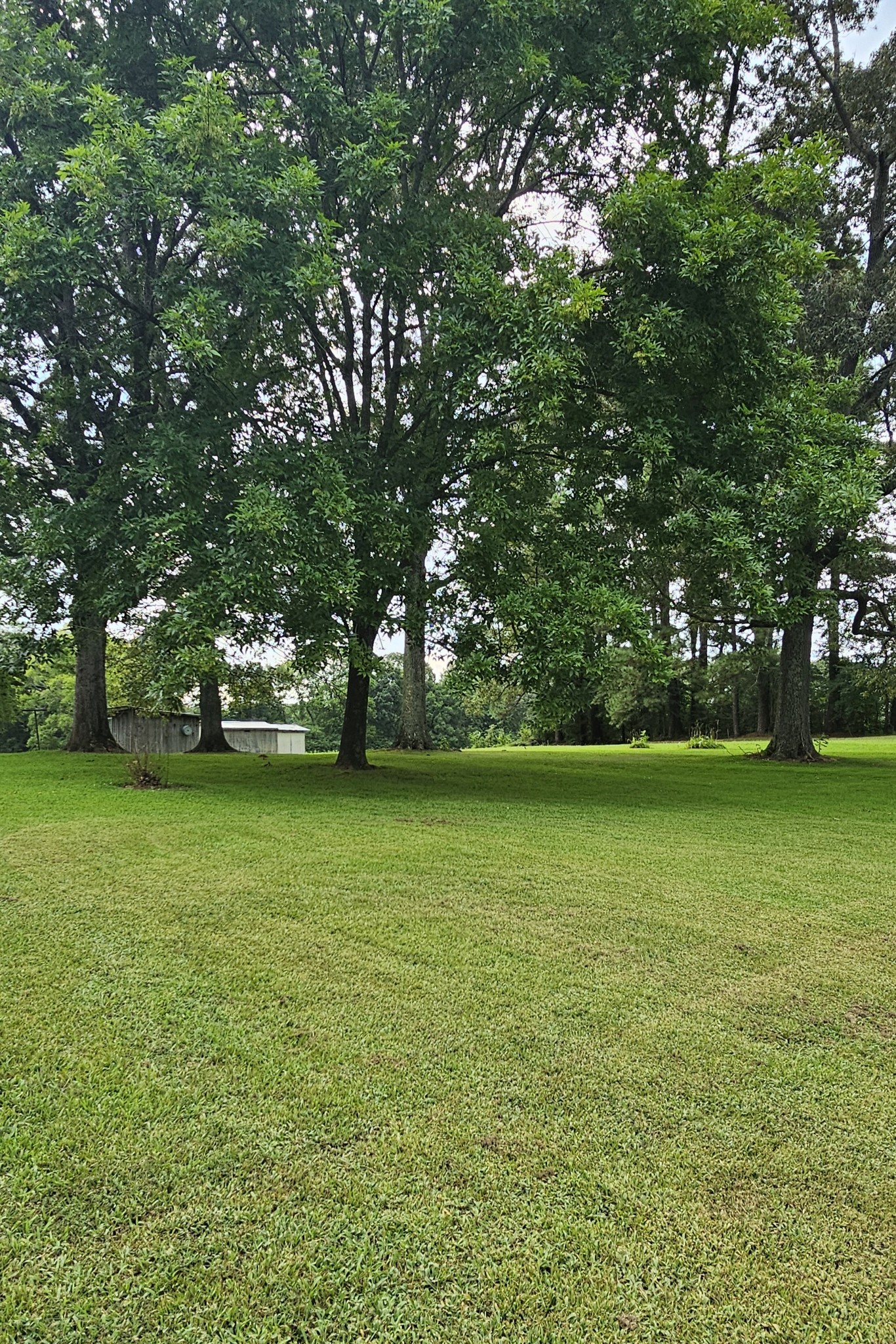 1797 Link Road New Johnsonville TN 37134