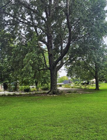1797 Link Road New Johnsonville TN 37134