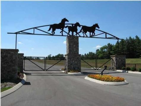 54 Mokay View Drive South Pittsburg TN 37380