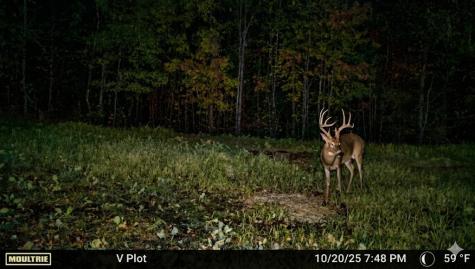 0 Elk Drive Hurricane Mills TN 37078