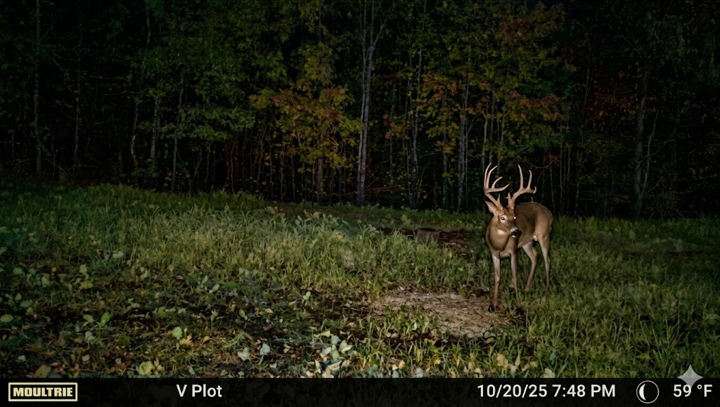 0 Elk Drive Hurricane Mills TN 37078