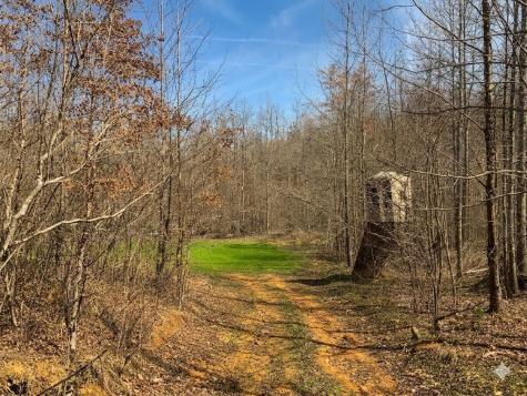 0 Elk Drive Hurricane Mills TN 37078