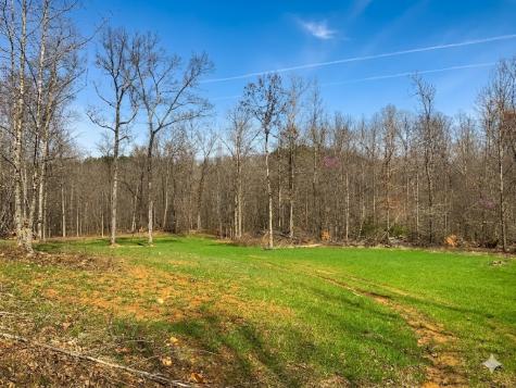 0 Elk Drive Hurricane Mills TN 37078