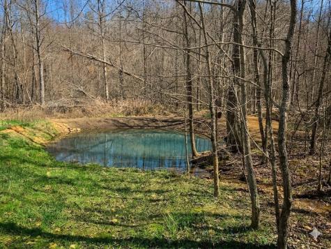 0 Elk Drive Hurricane Mills TN 37078