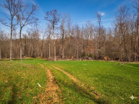 0 Elk Drive Hurricane Mills TN 37078