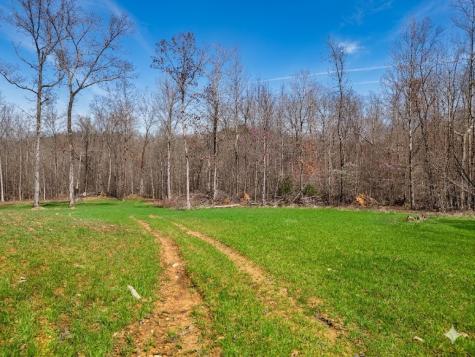 0 Elk Drive Hurricane Mills TN 37078