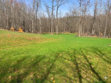 0 Elk Drive Hurricane Mills TN 37078
