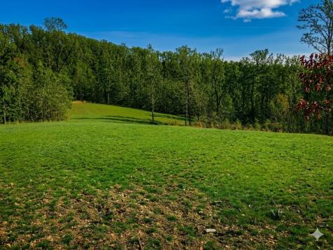 0 Elk Drive Hurricane Mills TN 37078