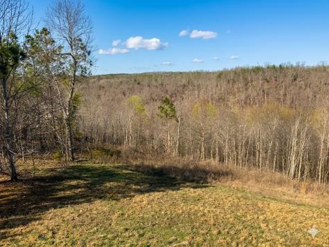0 Elk Drive Hurricane Mills TN 37078