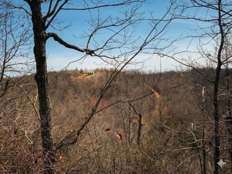 0 Elk Drive Hurricane Mills TN 37078
